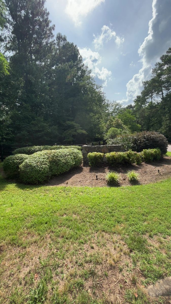 TBE Services lawn care work photo