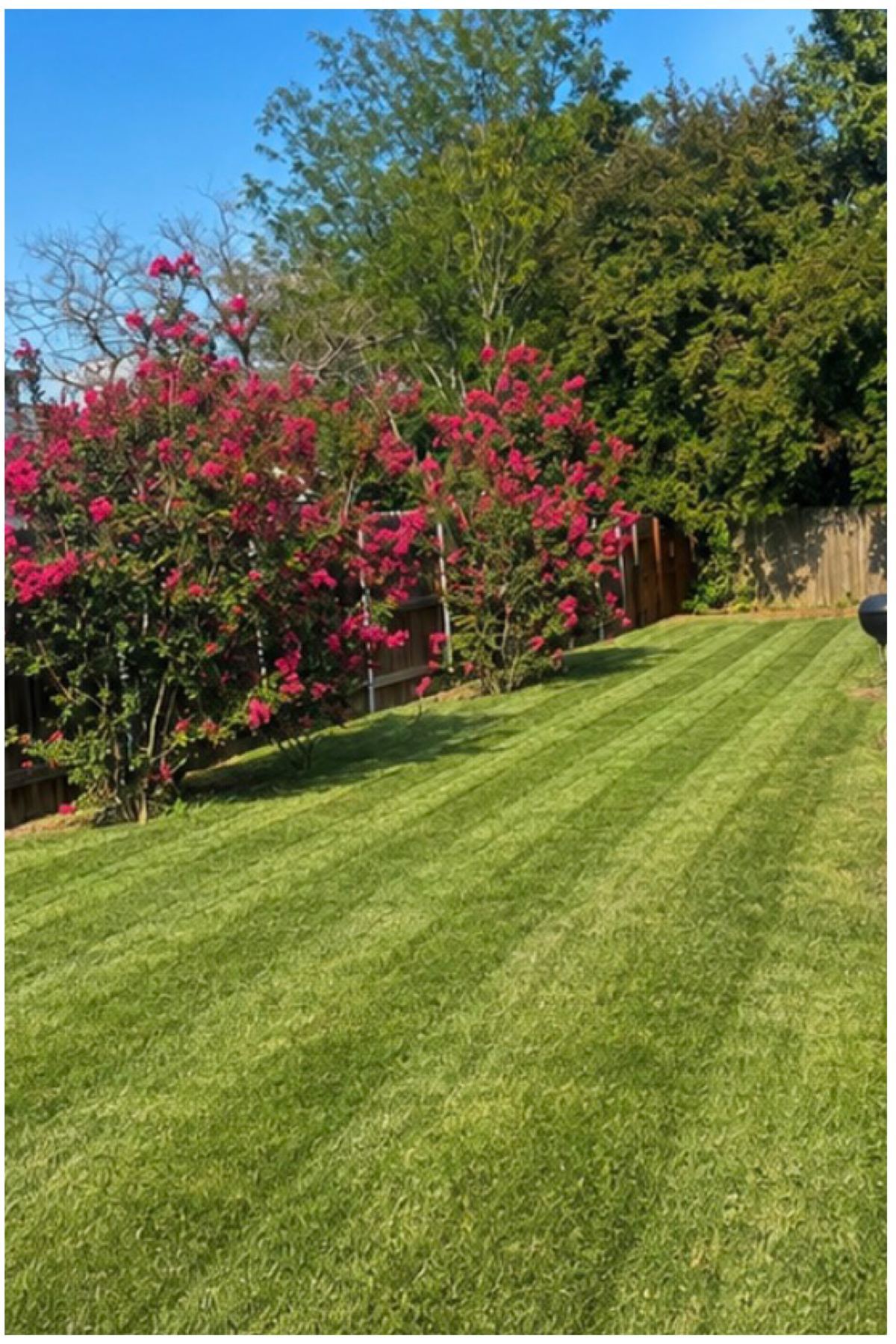 TBE Services lawn care work photo