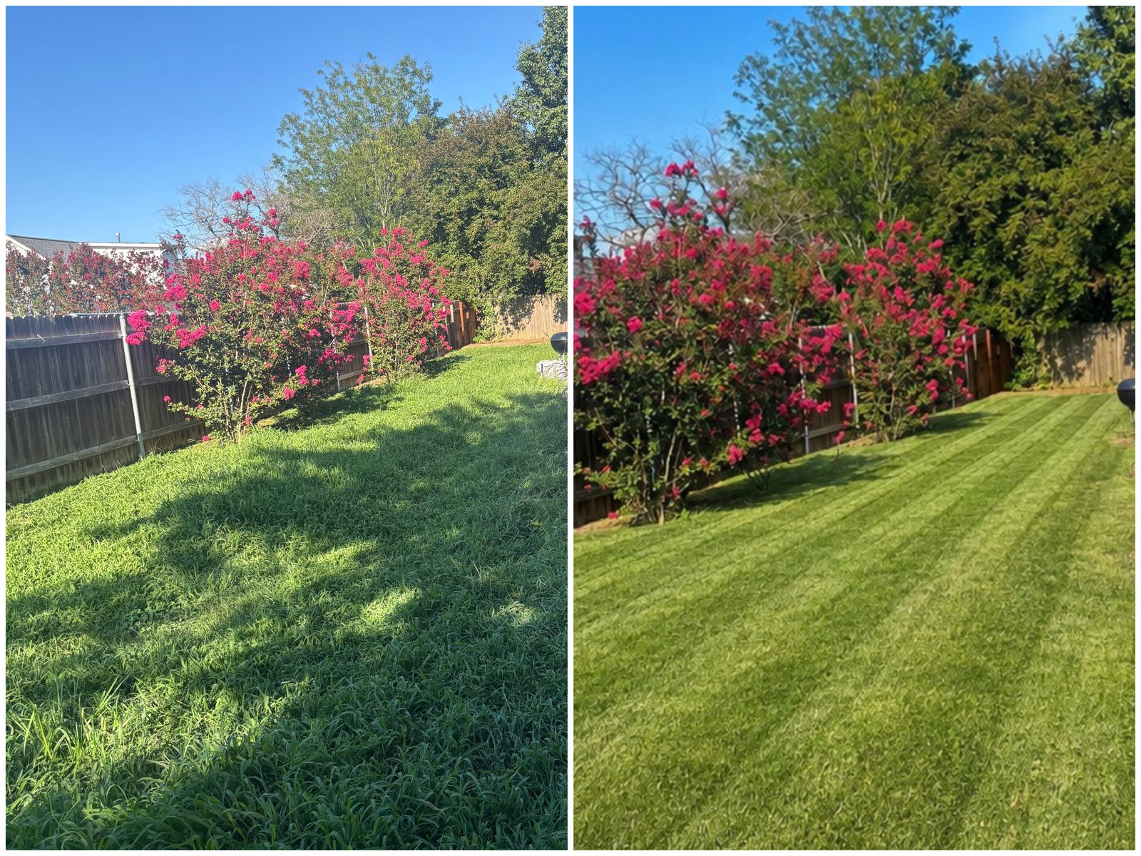 Mowing before & after with stripes