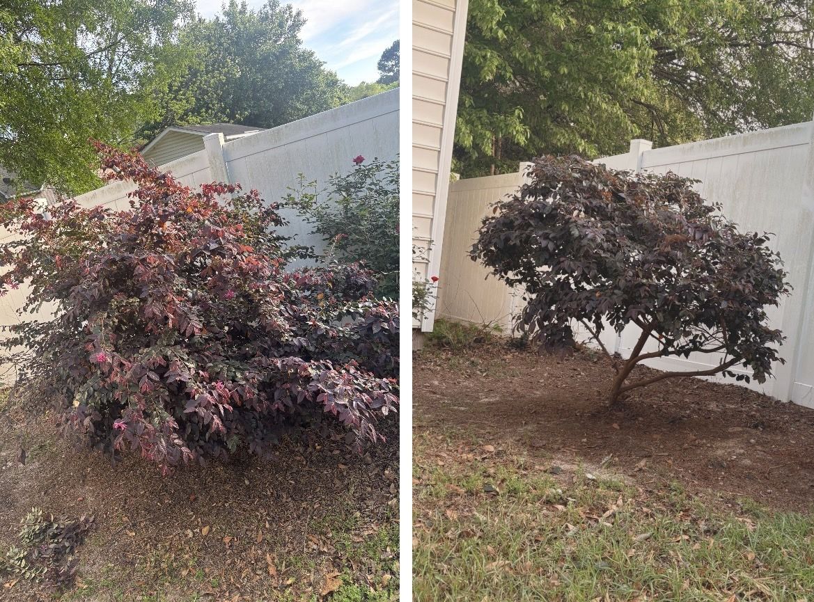TBE Services lawn care work photo